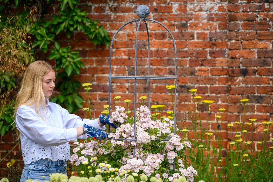 Behind the Scenes Blog Galllery 5